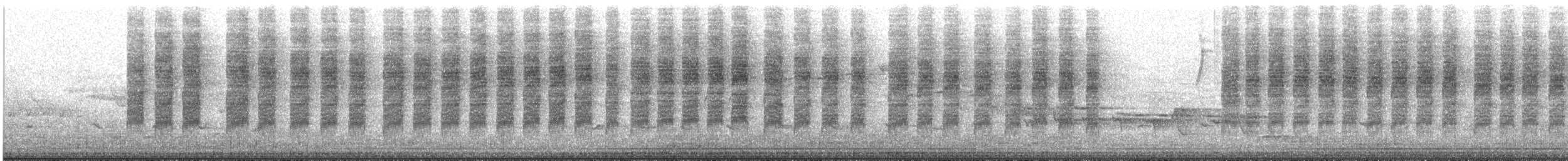 White-browed Scrubwren - ML646514328
