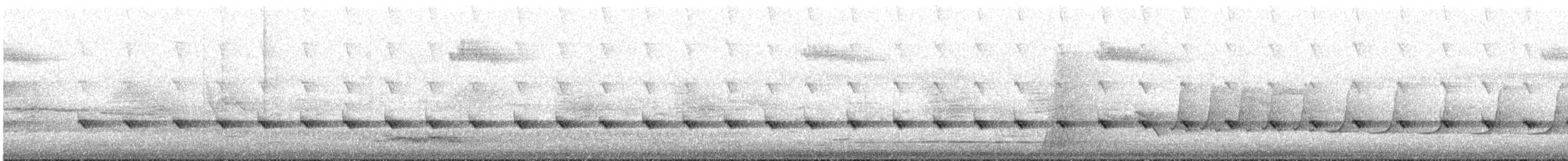 White-throated Treecreeper - ML646514414