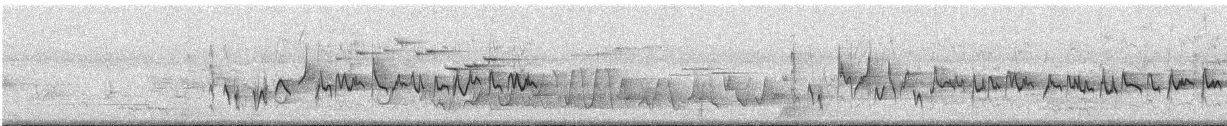 Silvereye - ML646514459