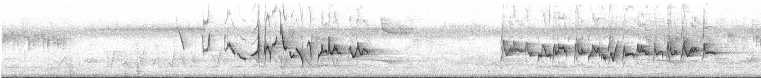 Silvereye - ML646514460