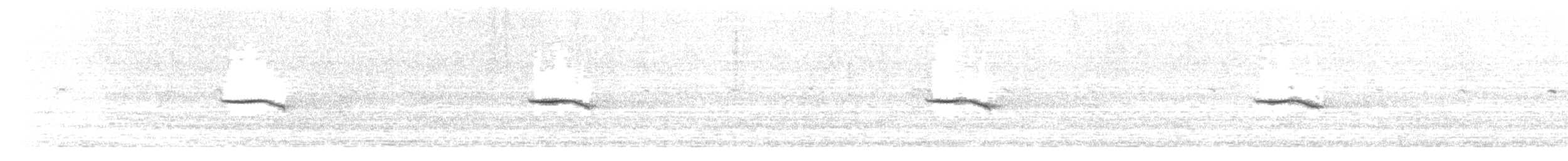 Ruiseñor Calíope - ML646514940