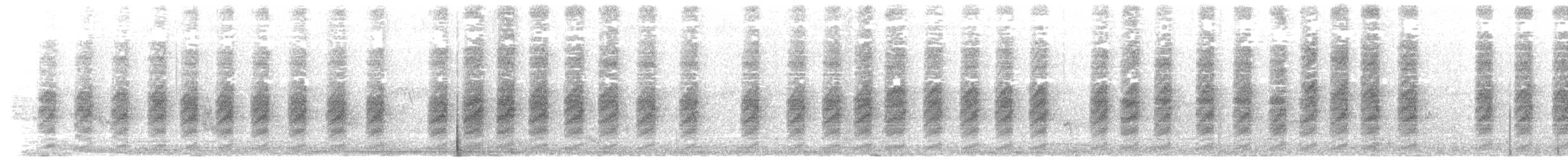 Alcaudón Schach (tricolor/longicaudatus) - ML646515624
