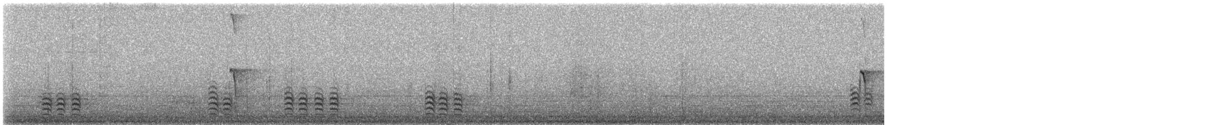 White-breasted Nuthatch - ML646515737