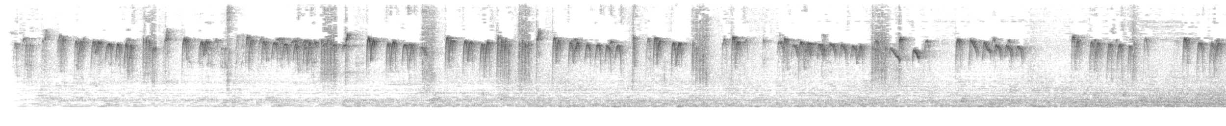 Mito Gorjinegro - ML646515908