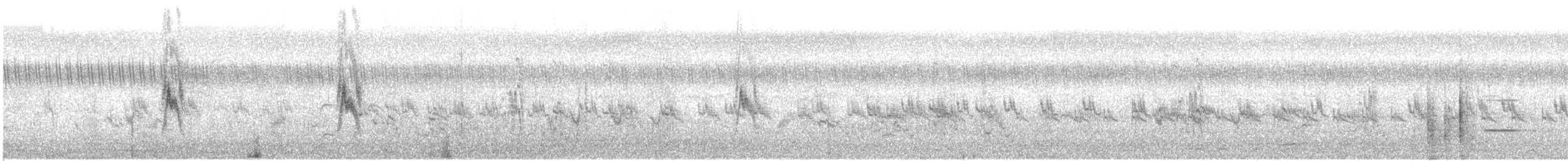 פפיון הודי/ארך-רגליים - ML646515935