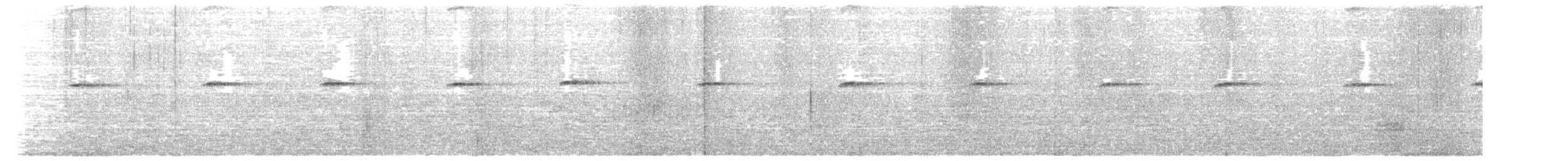 Torrentero Dorsigrís - ML646516082