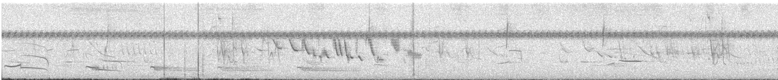 Striped Cuckoo - ML646516119