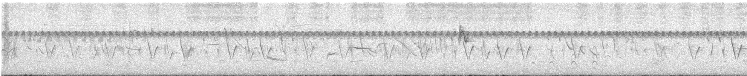 Long-tailed Reed Finch - ML646516231