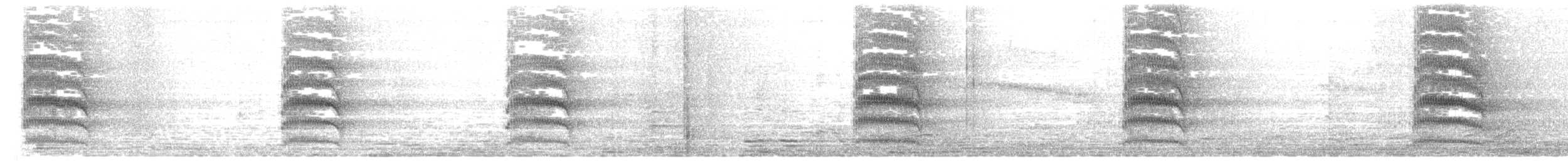 Barbudo Grande - ML646516413