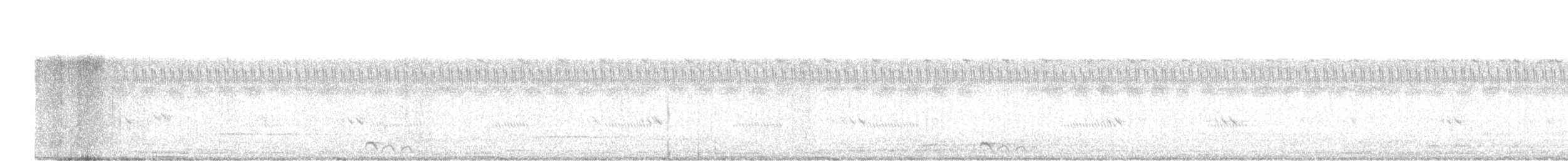 Maharadschanachtschwalbe - ML646516494