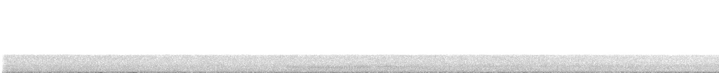 Hooded Merganser - ML646517348