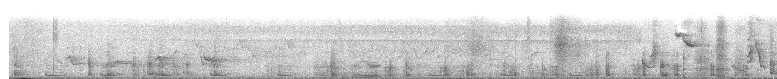 キバシカッコウ - ML646517479