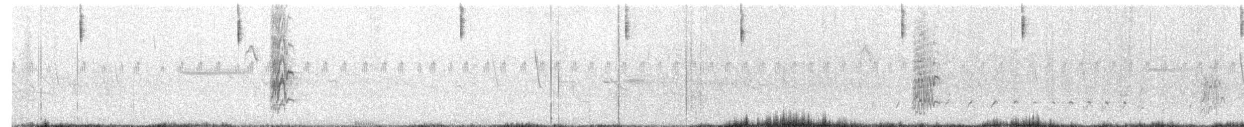 Grassland Sparrow - ML646517653