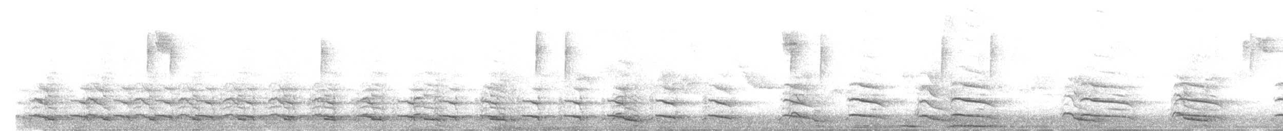 European Herring Gull - ML646517704