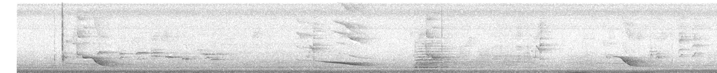 Black-naped Oriole - ML646517772