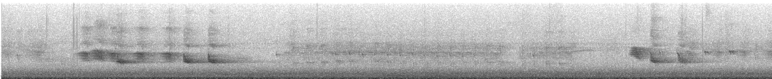 Zanate Marismeño - ML646517886