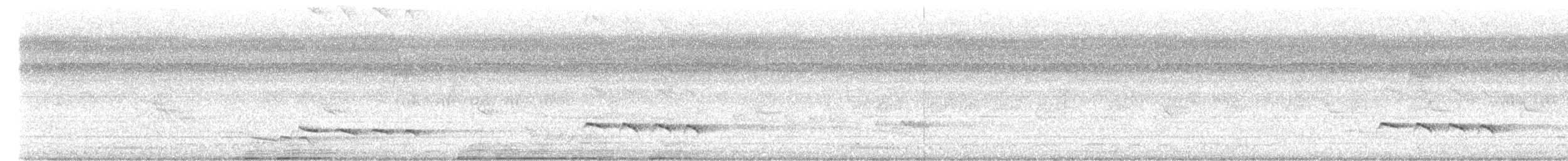 Banded Bay Cuckoo - ML646518170