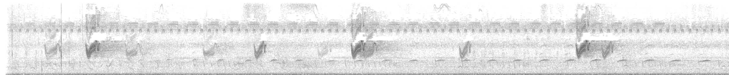 Chotacabras de Sabana - ML646518255