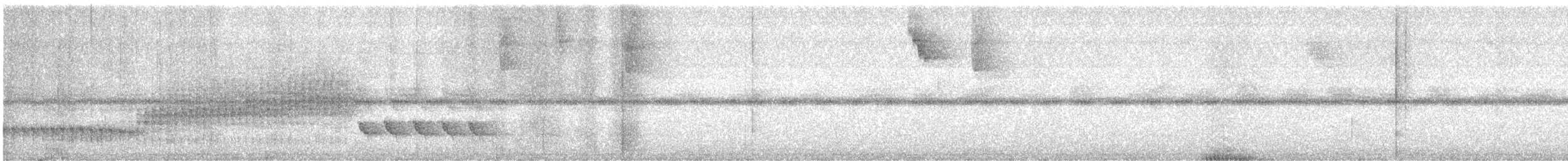 Soterillo Picudo - ML646518341