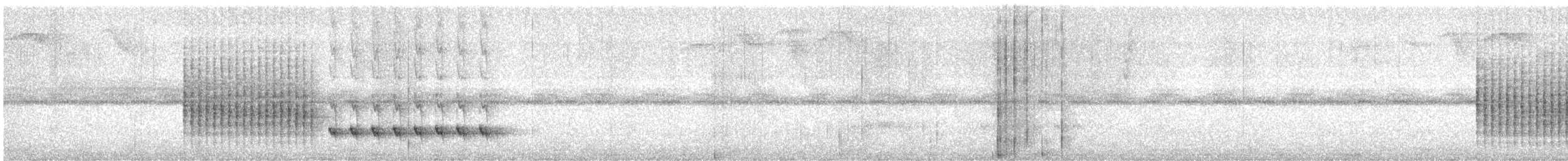 Soterillo Picudo - ML646518342