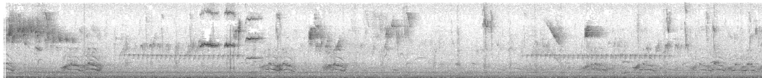 Amazilia de Tobago - ML646518353