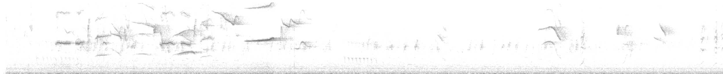 Amazilia de Tobago - ML646518354