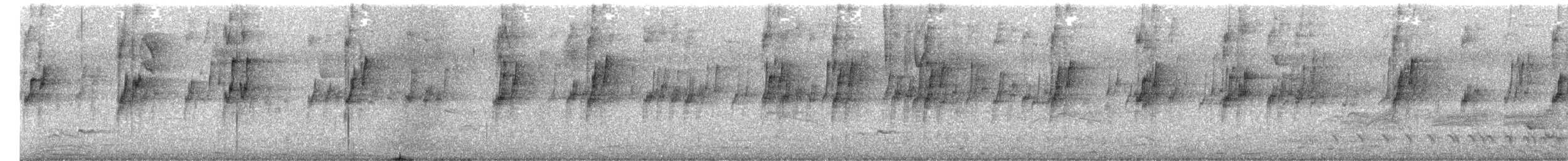 Cotorrita Culiverde - ML646518376