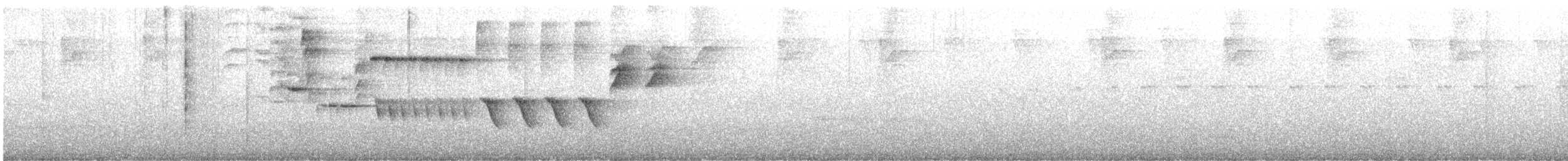 Schieferspelzer - ML646518513