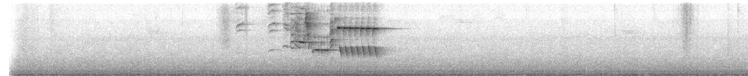 Schieferspelzer - ML646518514