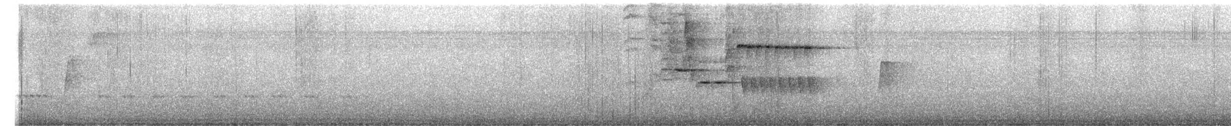 Schieferspelzer - ML646518515