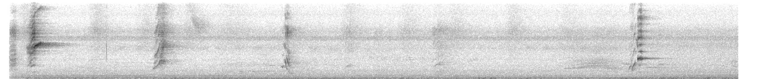 Estornino de Bali - ML646518543