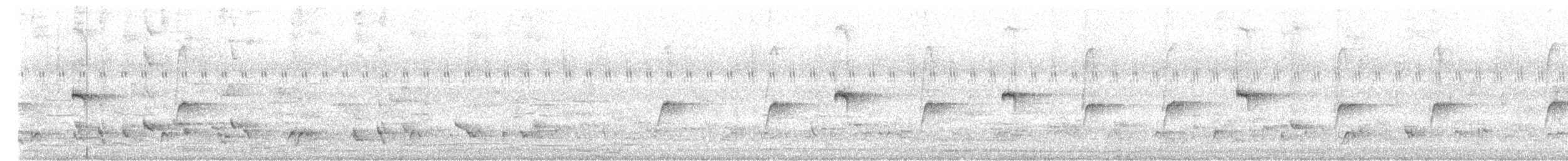 Suimanga Gorjipardo - ML646518794