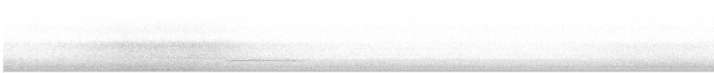 Western Barn Owl - ML646518937