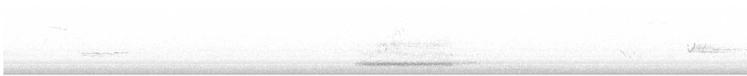 Western Barn Owl - ML646518938