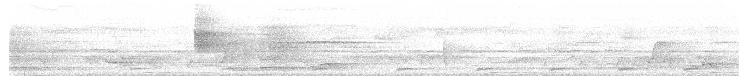 Mochuelo de Java - ML646519004