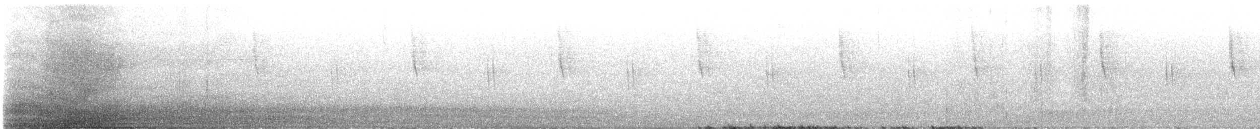 Colibrí Verdemar Menor - ML646519258