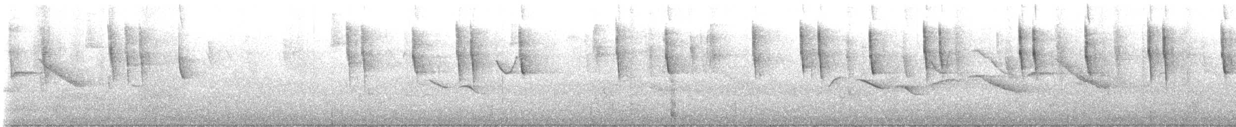 Colibrí Verdemar Menor - ML646519605