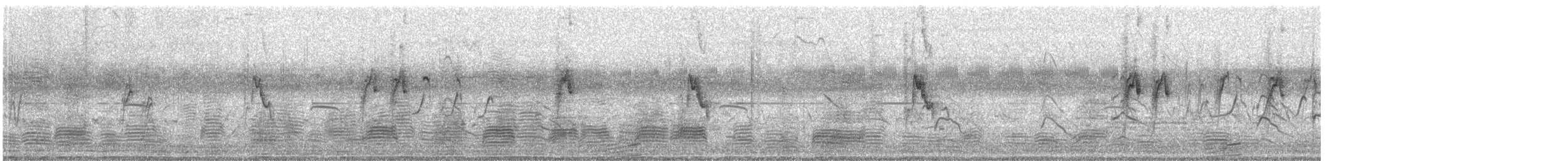 Ánsar Indio - ML646519858