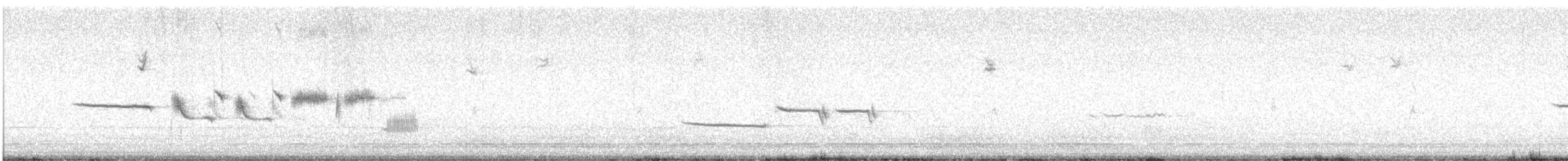 White-crowned Sparrow - ML646519982