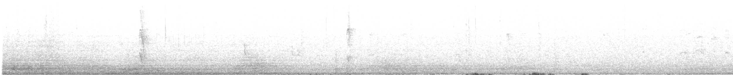 Chilean Tinamou - ML646520080