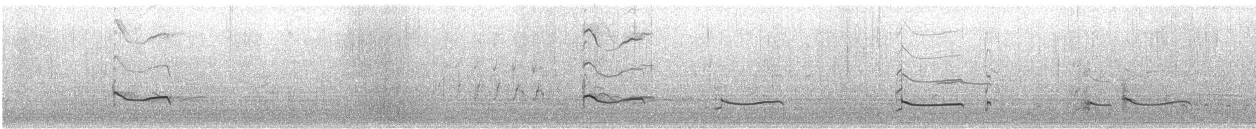 Black-bellied Plover - ML646520118