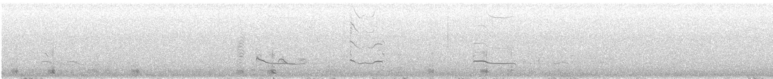 Black-bellied Plover - ML646520138