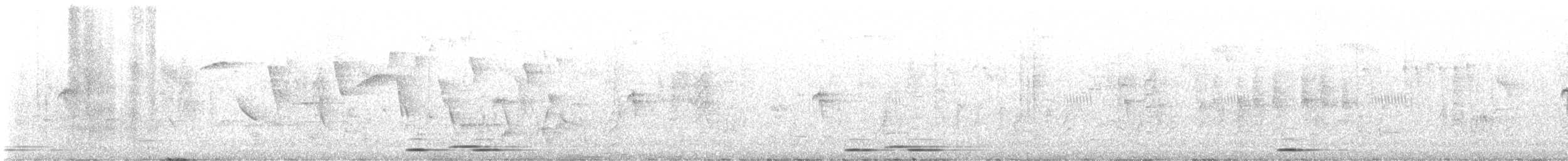 Tropical Boubou - ML646520258