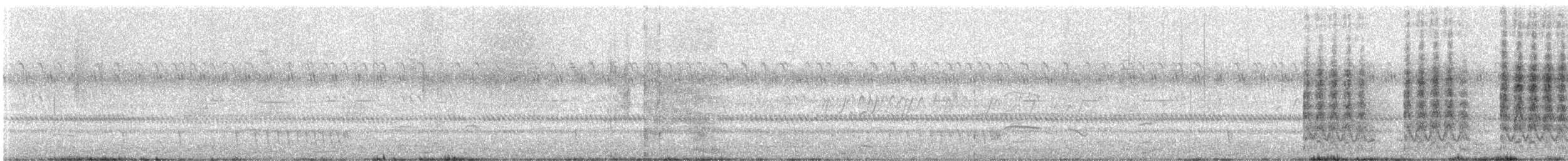 Indian Nightjar - ML646520460