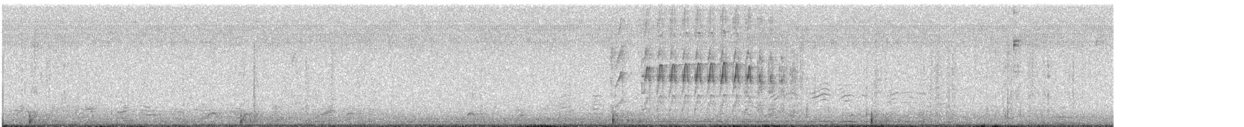 Ladder-backed Woodpecker - ML646520848