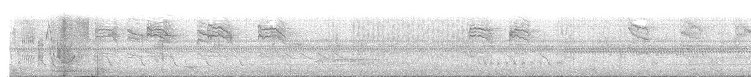 Black-and-white Warbler - ML646521029