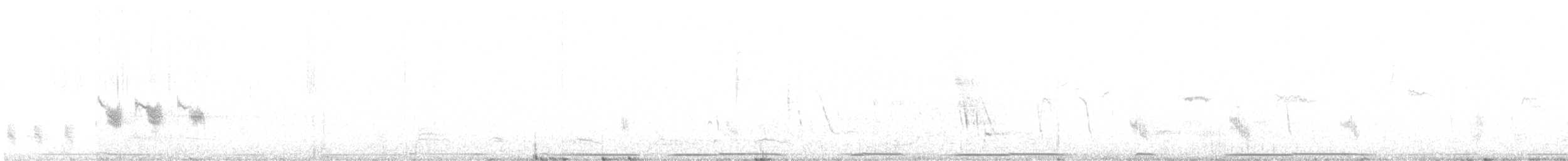 West Peruvian Dove - ML646521107