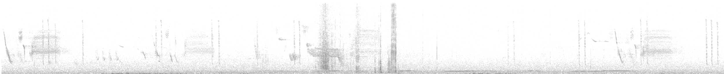 Peruvian Sheartail - ML646521135