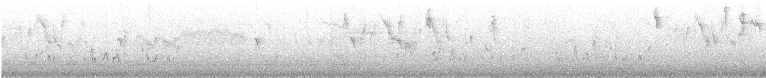 svartfibi - ML646521320