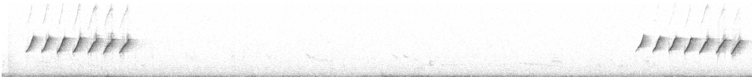 White-browed Gnatcatcher - ML646521357